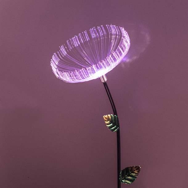 Mælkebøtten en dekorativ solcellelampe med fiberoptik og farveskift GL091EZ